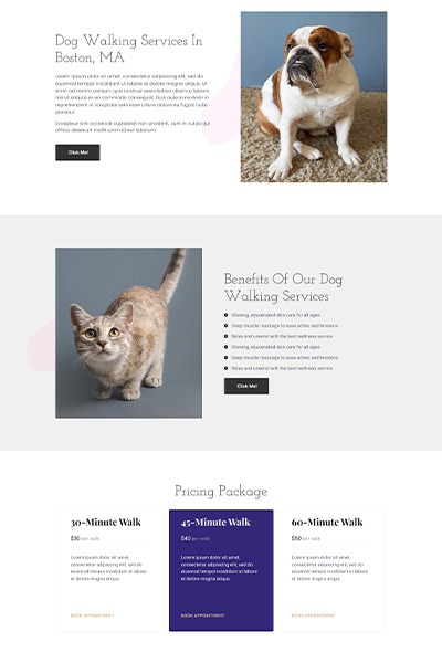 https://elementor.barketing.co/individual-service-page-layout-3/