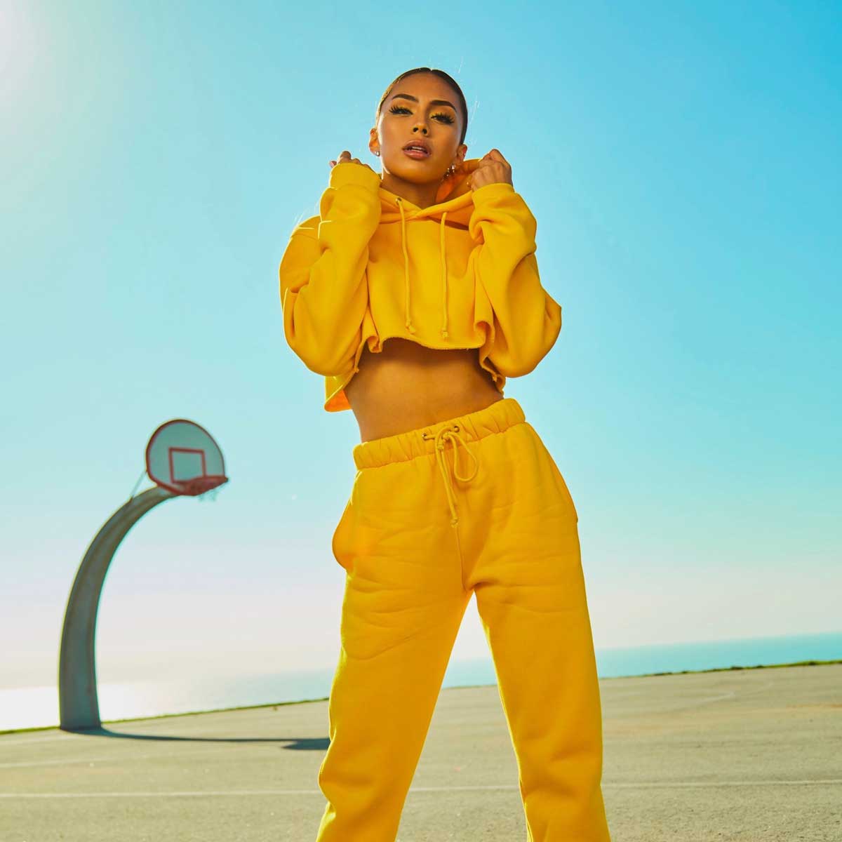 yellow-jacket